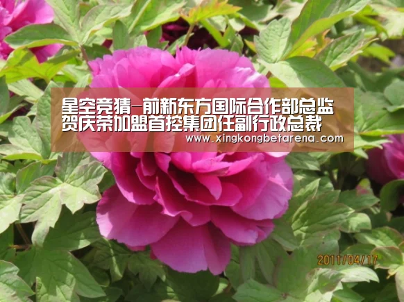 星空竞猜-前新东方国际合作部总监贺庆荣加盟首控集团任副行政总裁(图3) 星空竞猜