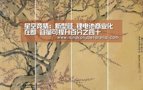 星空官网